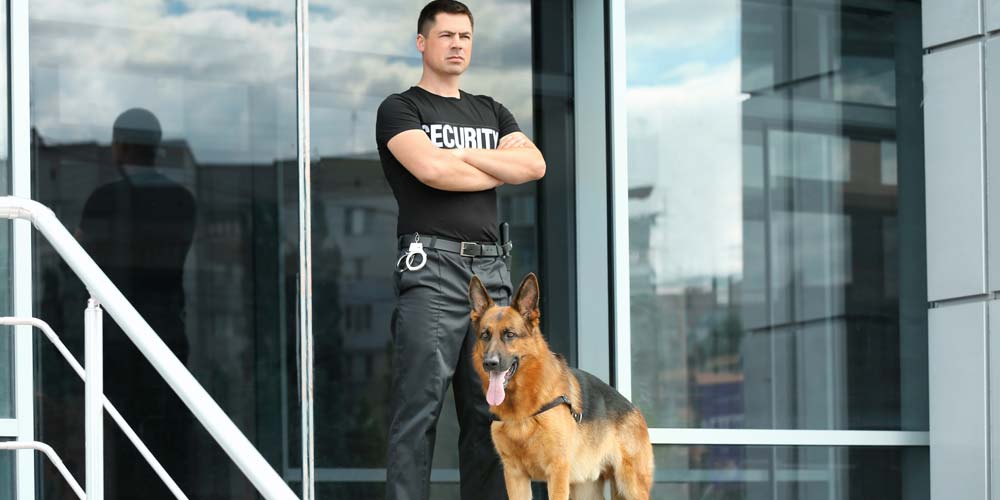 Specialized Training | Security Guard Training